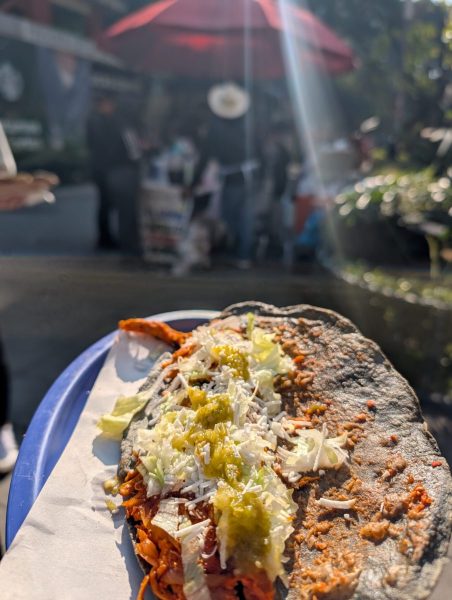 202512_Mexico_0025_DxO-scaled