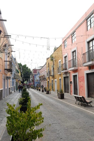 202512_Mexico_0245_DxO-scaled