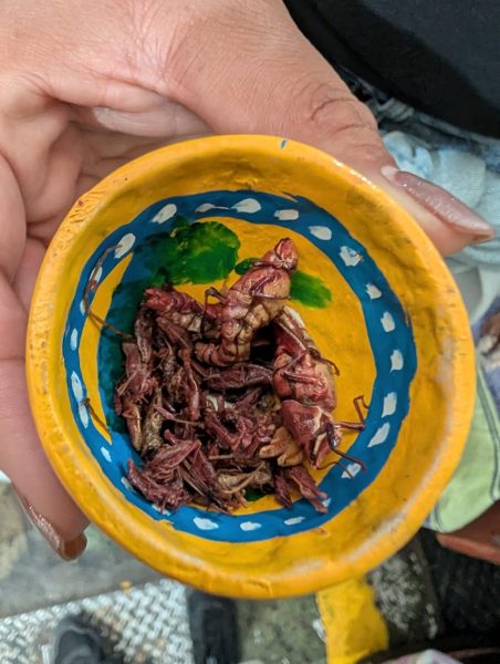 202512_Mexico_0536_DxO-scaled