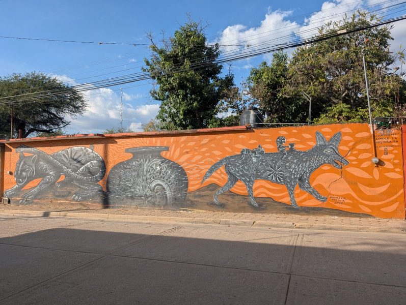 202512_Mexico_0581_DxO-scaled