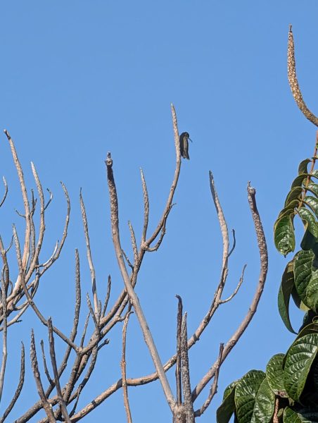 202512_Mexico_1002_DxO-scaled