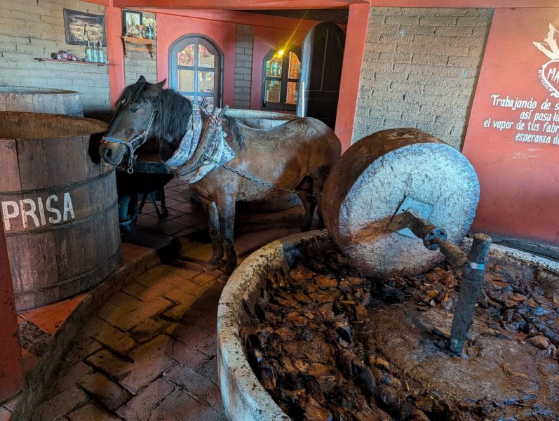 202512_Mexico_1011_DxO-scaled