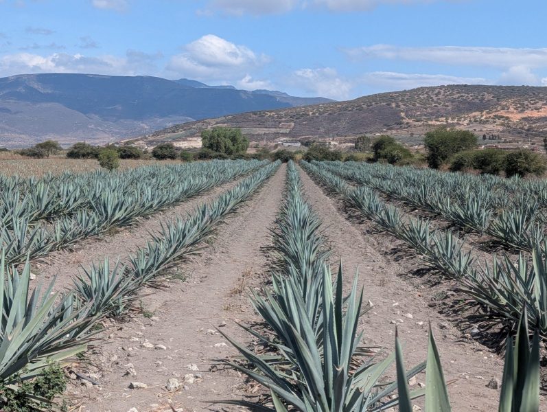 202512_Mexico_1030_DxO-scaled