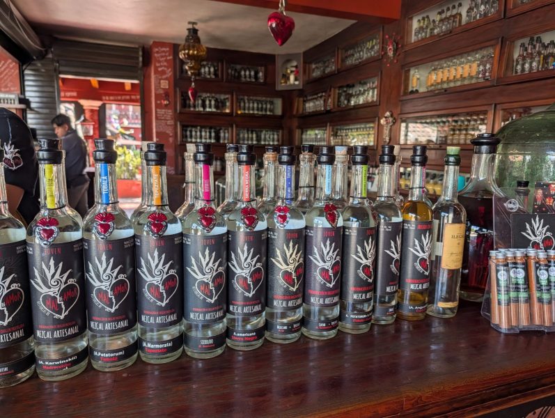 202512_Mexico_1080_DxO-scaled