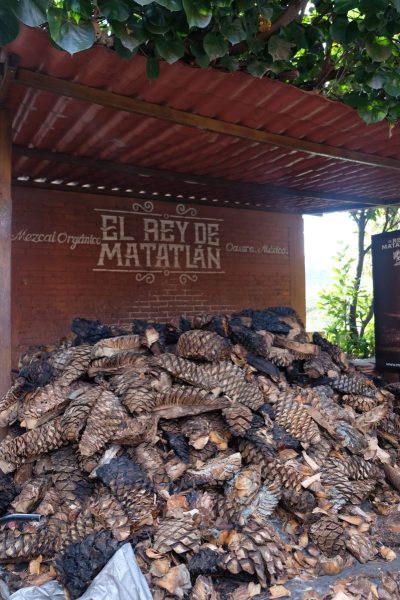 202512_Mexico_1105_DxO-scaled